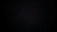 csilla1 - 
